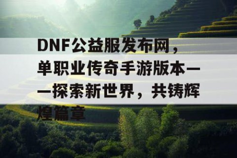 DNF公益服发布网，单职业传奇手游版本——探索新世界，共铸辉煌篇章