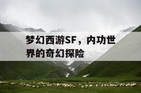 梦幻西游SF，内功世界的奇幻探险