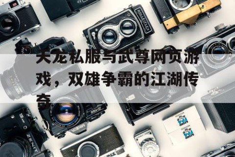 天龙私服与武尊网页游戏，双雄争霸的江湖传奇