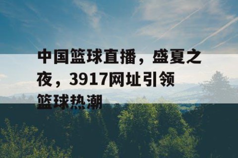 中国篮球直播,盛夏之夜,3917网址引领篮球热潮