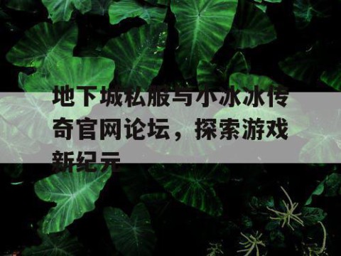 地下城私服与小冰冰传奇官网论坛，探索游戏新纪元