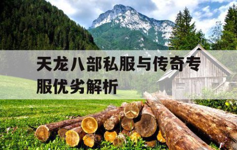 天龙八部私服与传奇专服优劣解析