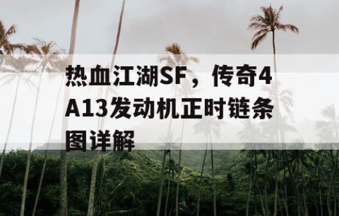 热血江湖SF，传奇4A13发动机正时链条图详解