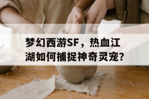梦幻西游SF，热血江湖如何捕捉神奇灵宠？