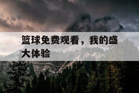篮球免费观看,我的盛大体验