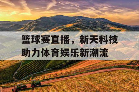 篮球赛直播,新天科技助力体育娱乐新潮流