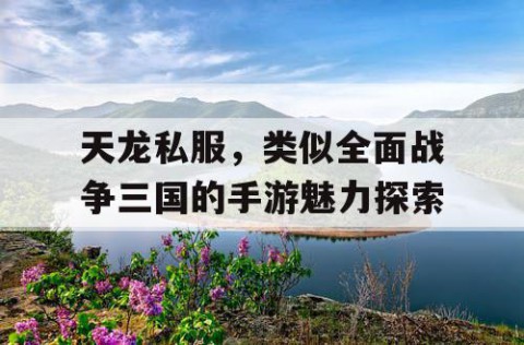 天龙私服，类似全面战争三国的手游魅力探索