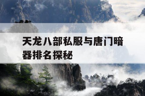 天龙八部私服与唐门暗器排名探秘