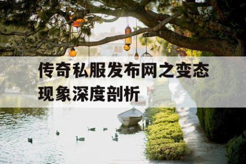 传奇私服发布网之变态现象深度剖析