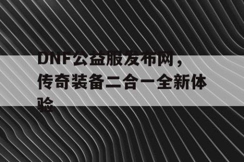 DNF公益服发布网，传奇装备二合一全新体验