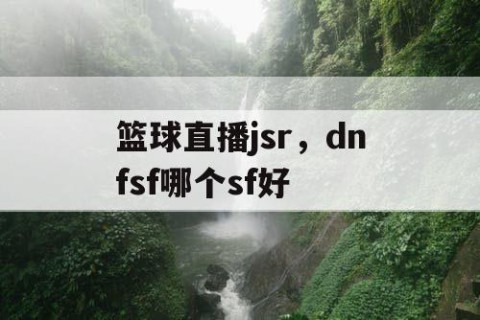 篮球直播jsr,dnfsf哪个sf好