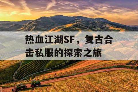 热血江湖SF，复古合击私服的探索之旅