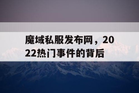 魔域私服发布网，2022热门事件的背后