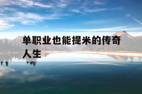 单职业也能提米的传奇人生