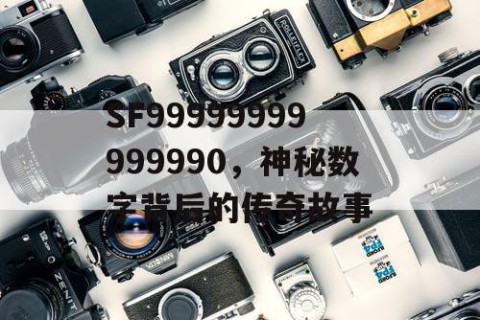 SF99999999999990，神秘数字背后的传奇故事