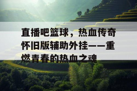 直播吧篮球，热血传奇怀旧版辅助外挂——重燃青春的热血之魂
