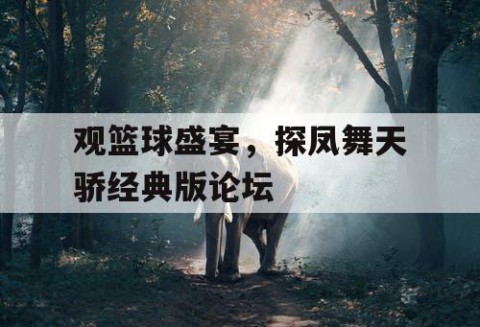 观篮球盛宴，探凤舞天骄经典版论坛