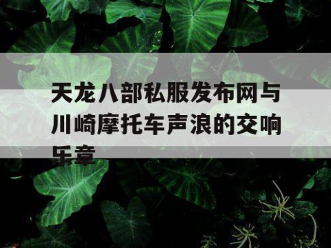 天龙八部私服发布网与川崎摩托车声浪的交响乐章