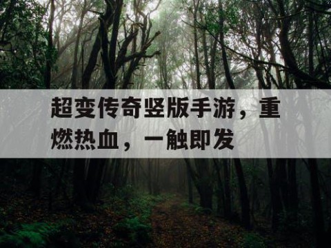 超变传奇竖版手游，重燃热血，一触即发