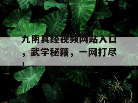 九阴真经视频网站入口，武学秘籍，一网打尽！