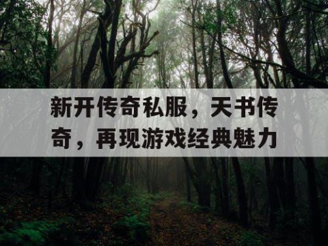 新开传奇私服，天书传奇，再现游戏经典魅力