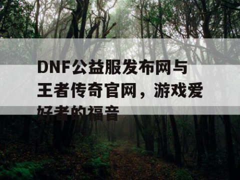 DNF公益服发布网与王者传奇官网,游戏爱好者的福音