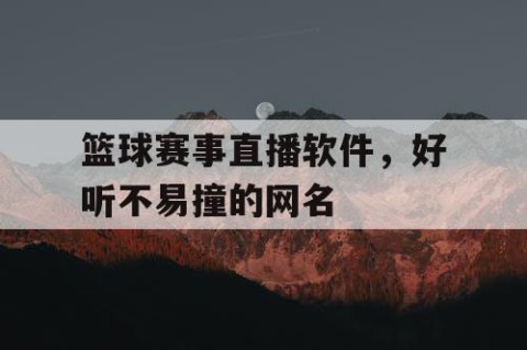 篮球赛事直播软件，好听不易撞的网名