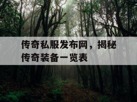 传奇私服发布网，揭秘传奇装备一览表