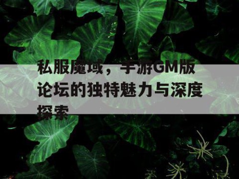 私服魔域，手游GM版论坛的独特魅力与深度探索