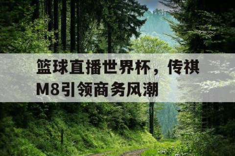 篮球直播世界杯，传祺M8引领商务风潮