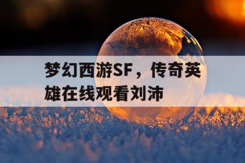 梦幻西游SF，传奇英雄在线观看刘沛