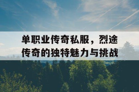 单职业传奇私服，烈途传奇的独特魅力与挑战
