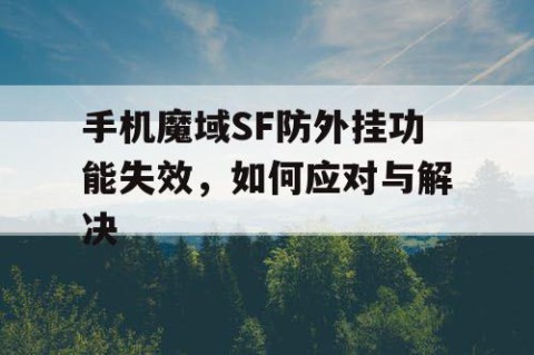 手机魔域SF防外挂功能失效，如何应对与解决