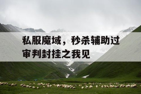 私服魔域，秒杀辅助过审判封挂之我见