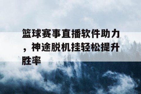 篮球赛事直播软件助力，神途脱机挂轻松提升胜率