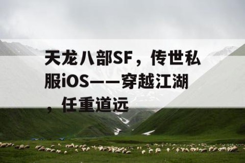 天龙八部SF，传世私服iOS——穿越江湖，任重道远