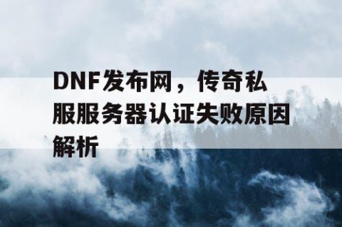 DNF发布网，传奇私服服务器认证失败原因解析