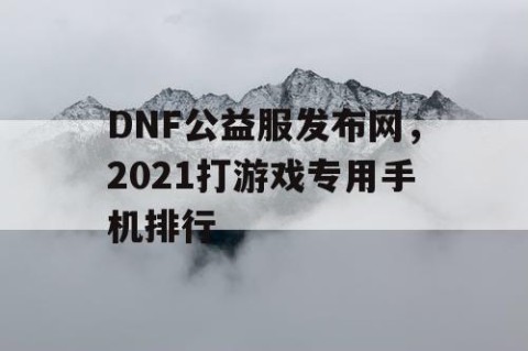 DNF公益服发布网，2021打游戏专用手机排行