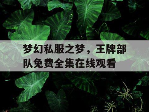 梦幻私服之梦，王牌部队免费全集在线观看
