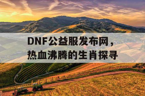 DNF公益服发布网，热血沸腾的生肖探寻
