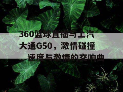 360篮球直播与上汽大通G50,激情碰撞,速度与激情的交响曲