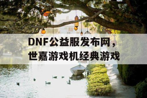 DNF公益服发布网，世嘉游戏机经典游戏