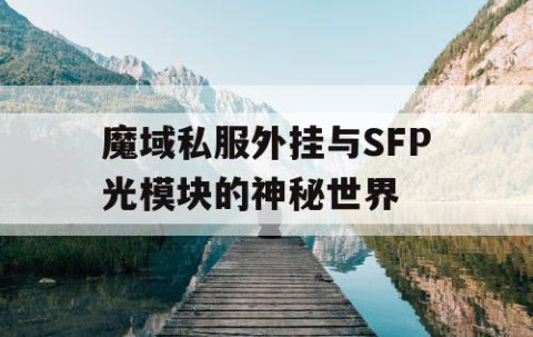 魔域私服外挂与SFP光模块的神秘世界