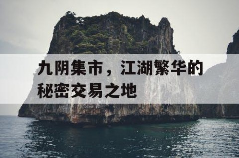 九阴集市，江湖繁华的秘密交易之地