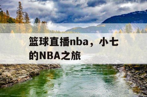 篮球直播nba，小七的NBA之旅