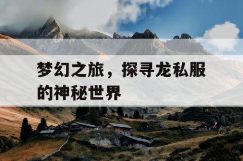 梦幻之旅，探寻龙私服的神秘世界