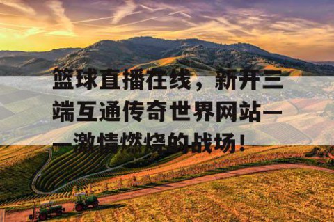 篮球直播在线,新开三端互通传奇世界网站——激情燃烧的战场!