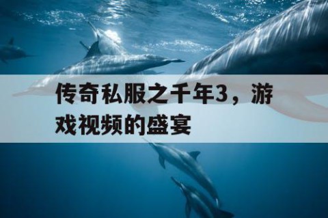 传奇私服之千年3，游戏视频的盛宴