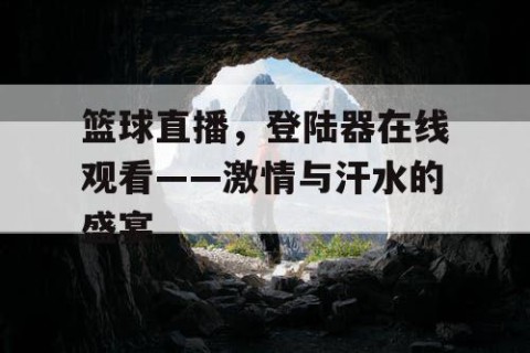篮球直播，登陆器在线观看——激情与汗水的盛宴