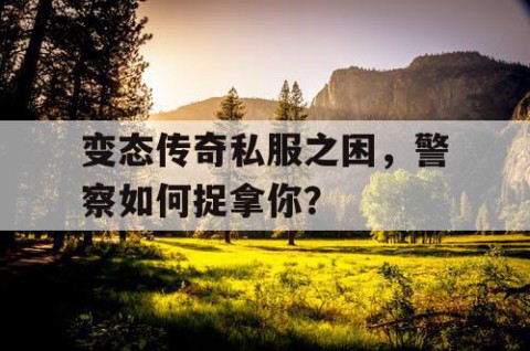 变态传奇私服之困，警察如何捉拿你？